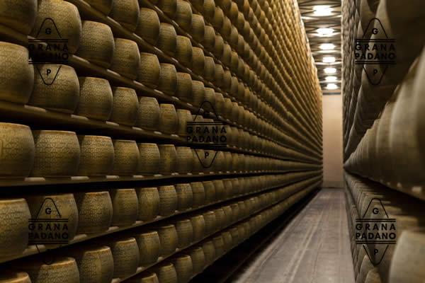 Consorzio Grana Padano